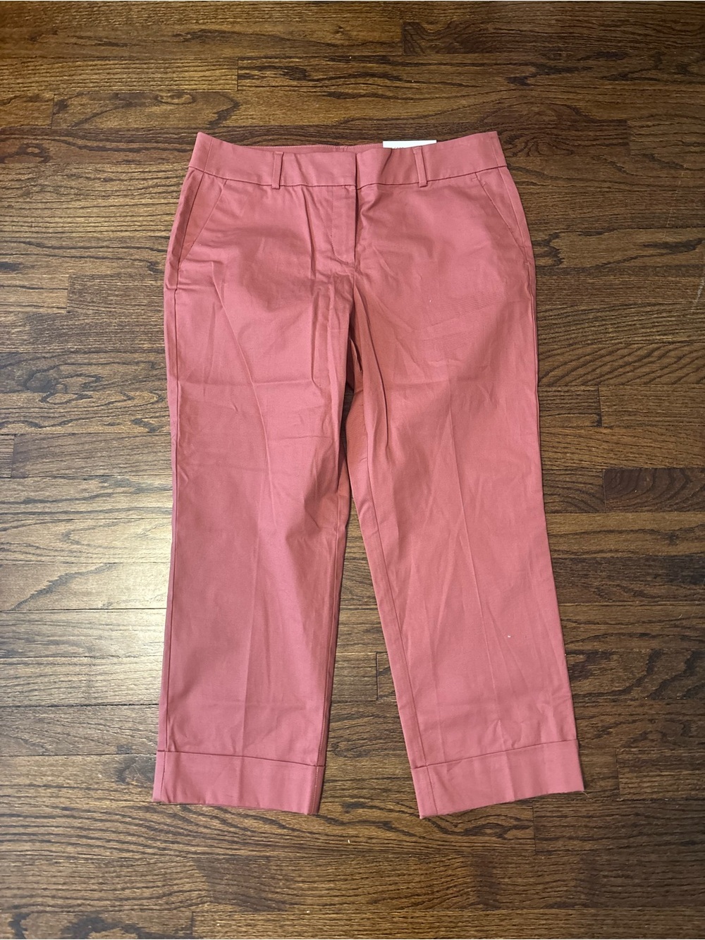 NWT Ann Taylor Cropped Clay Ankle Pants